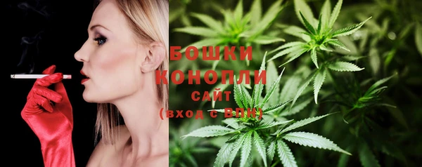 прущий лед Белоозёрский