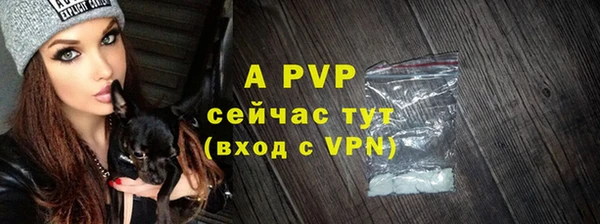 a pvp Белокуриха