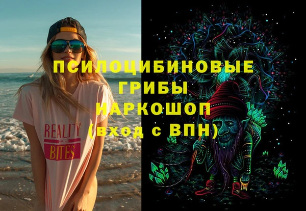 a pvp Белокуриха